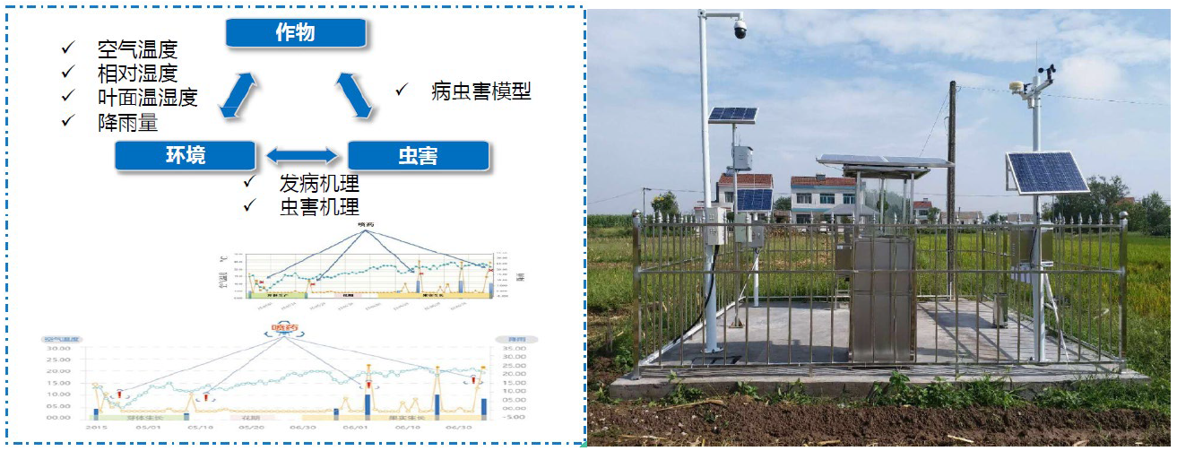 “5G+智慧農(nóng)業(yè)”的農(nóng)業(yè)大數(shù)據(jù)平臺該怎么做？