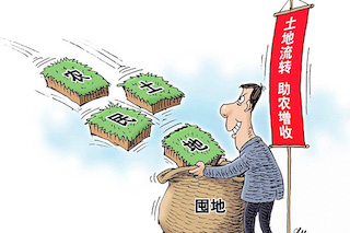 土地流轉(zhuǎn)意義重大，但真實的現(xiàn)狀并不理想