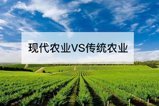 現(xiàn)代農(nóng)業(yè)VS傳統(tǒng)農(nóng)業(yè)，誰會更勝一籌？