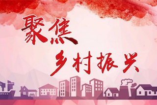 農(nóng)民莫急！國家正在加強部署，全面推進(jìn)鄉(xiāng)村振興