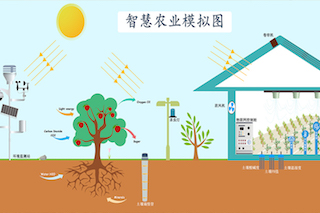 智慧農(nóng)業(yè)種植中，需要用到哪些傳感器？