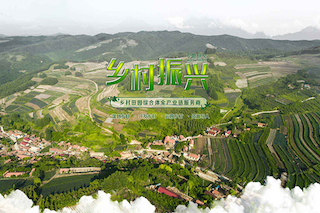 三農(nóng)一號文件工作重心，再次聚焦鄉(xiāng)村振興