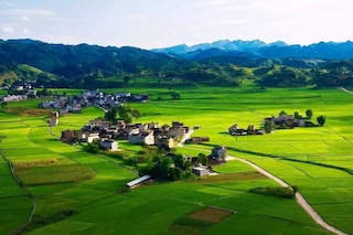 智慧農(nóng)業(yè)進入新階段，從這些角度促進鄉(xiāng)村振興