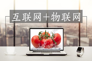互聯(lián)網(wǎng)時(shí)代的高效農(nóng)業(yè)，你真的了解么？