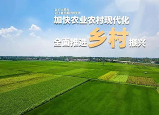 國家大力發(fā)展鄉(xiāng)村振興，但需要規(guī)避的五種傾向你知道嗎？