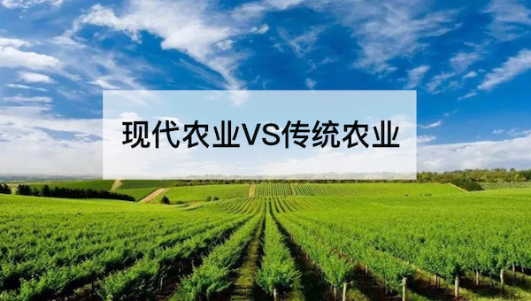 現(xiàn)代農(nóng)業(yè)VS傳統(tǒng)農(nóng)業(yè)，誰(shuí)會(huì)更勝一籌？.png
