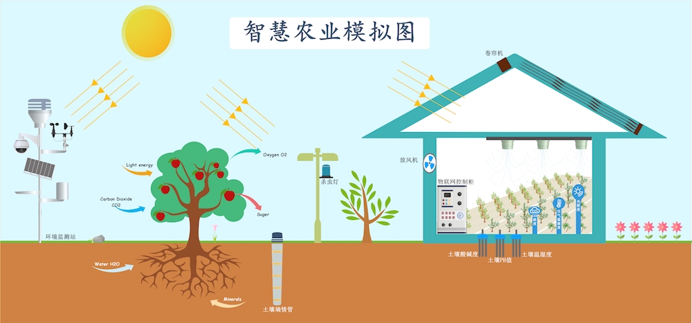 智慧農(nóng)業(yè)種植中，需要用到哪些傳感器.jpg
