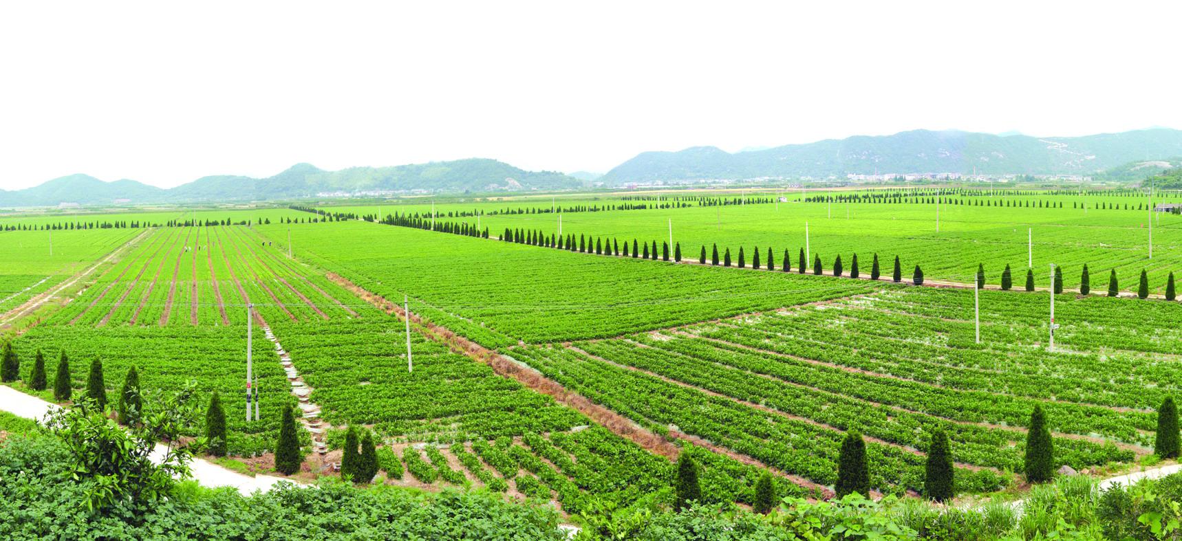 鄉(xiāng)村振興戰(zhàn)略下的智慧農(nóng)業(yè)發(fā)展對(duì)策.jpg