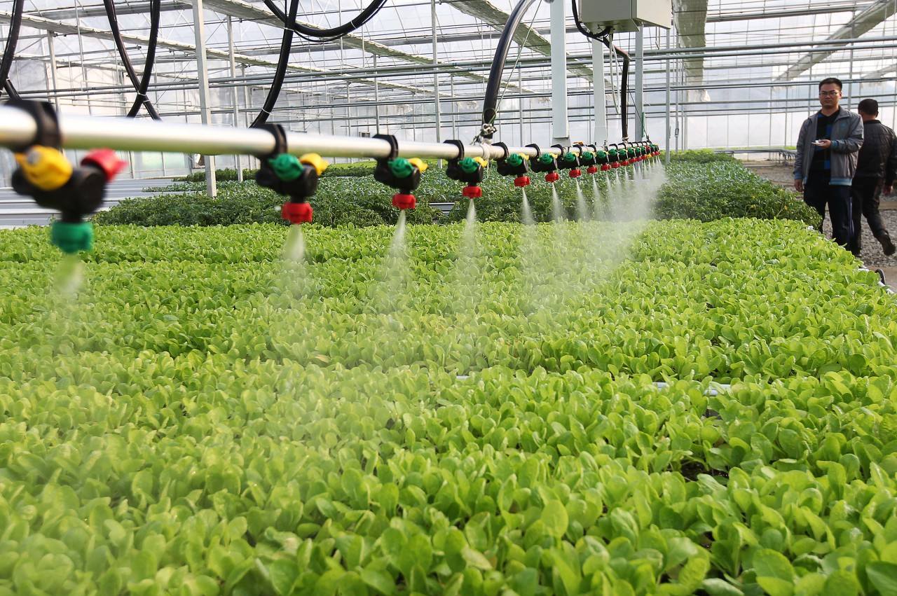 使用水肥一體機(jī)對于種植有哪些好處？.jpg