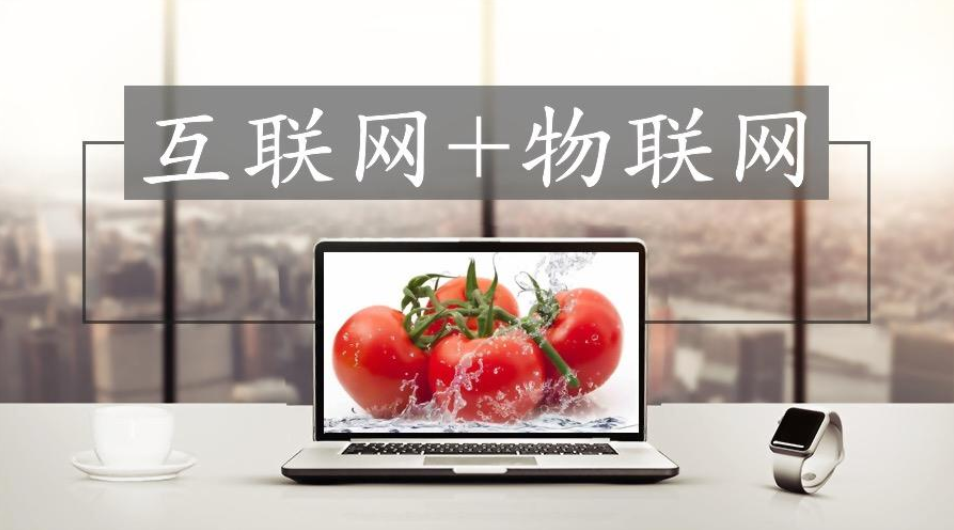 互聯網時代的高效農業(yè).png