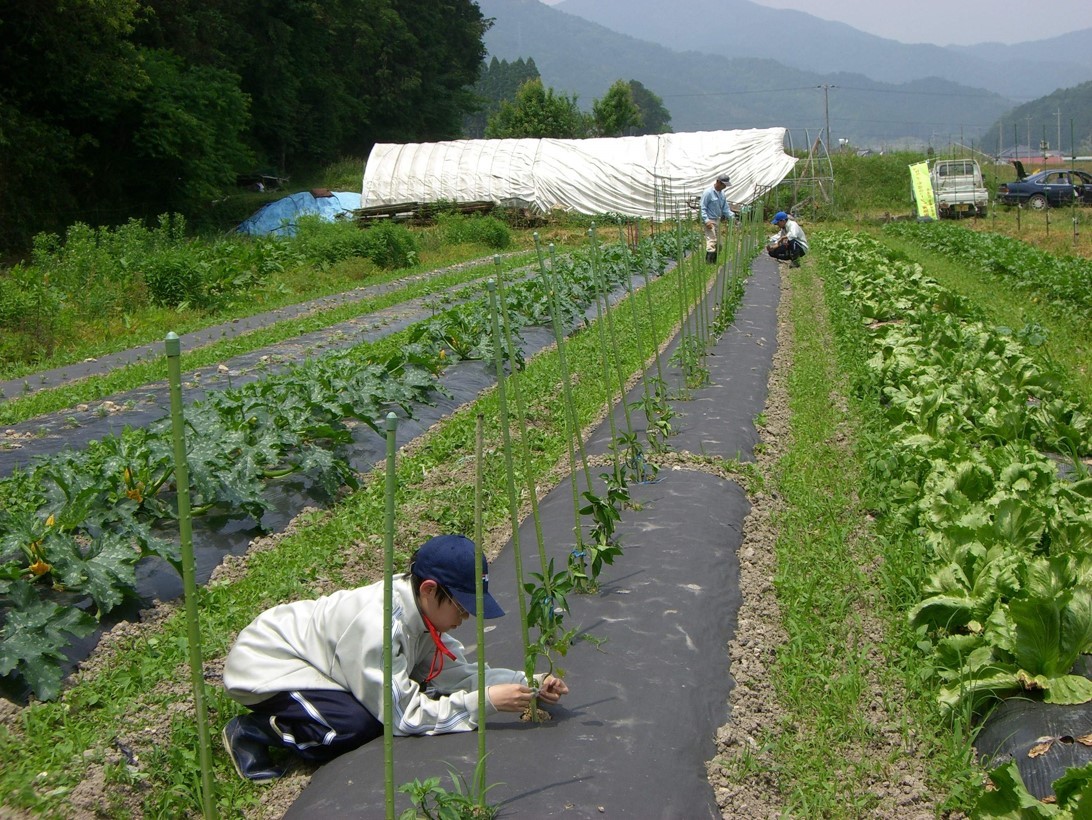 我們可以借鑒美國(guó)、日本的農(nóng)業(yè)發(fā)展模式，尋找屬于自己的農(nóng)業(yè)發(fā)展道路。.jpg